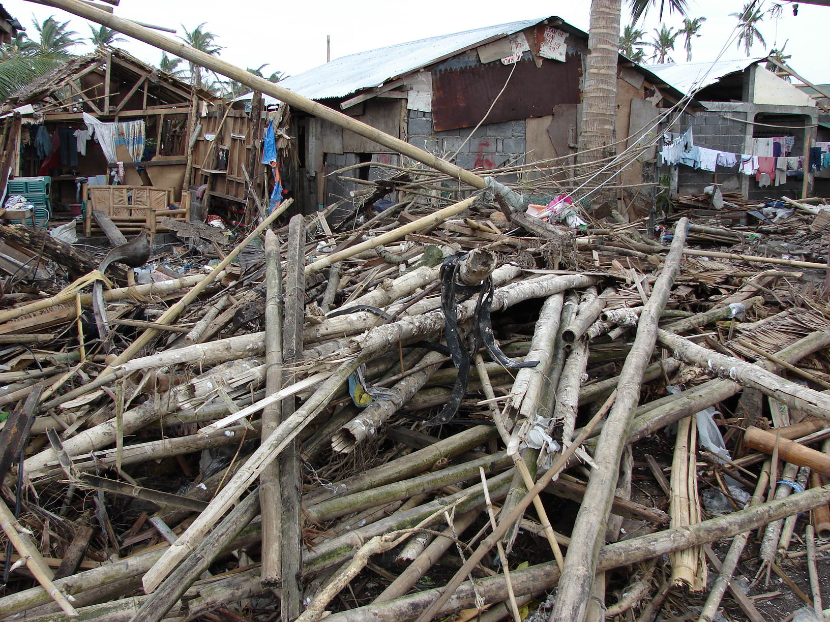 Danielle stislicki reddit