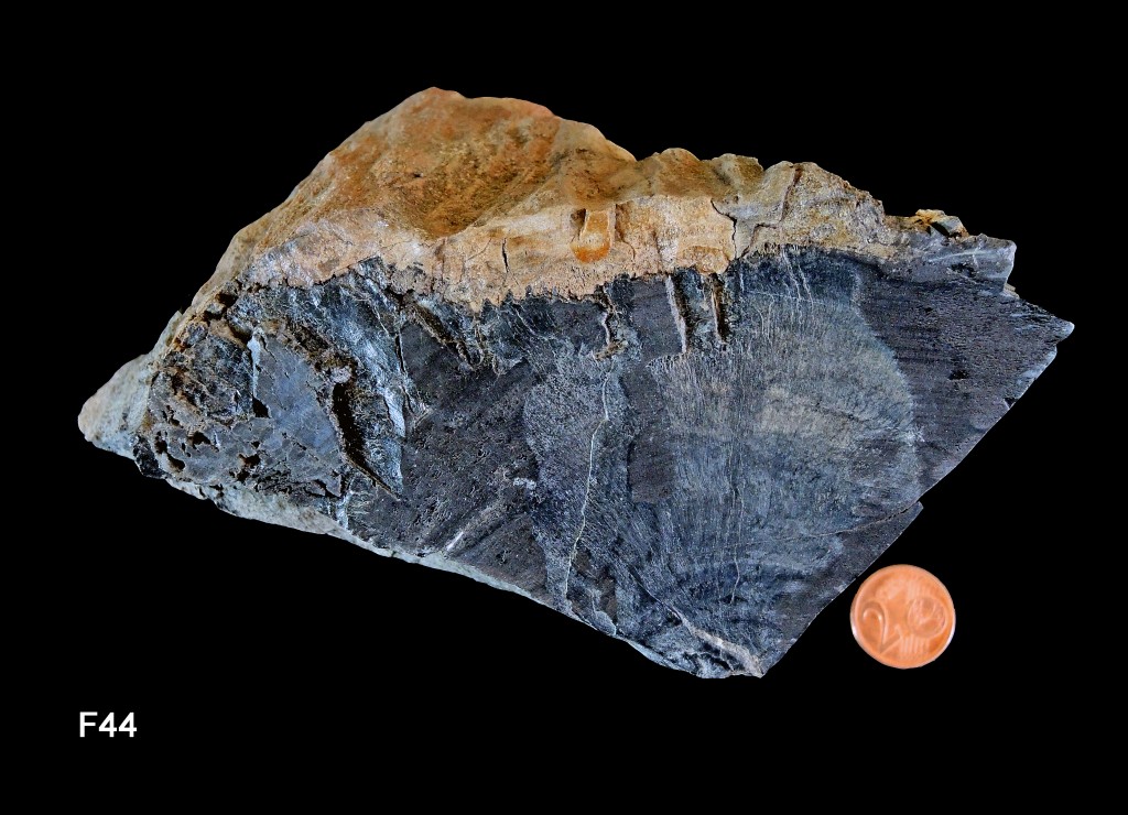 Yeras mirkogna part 132