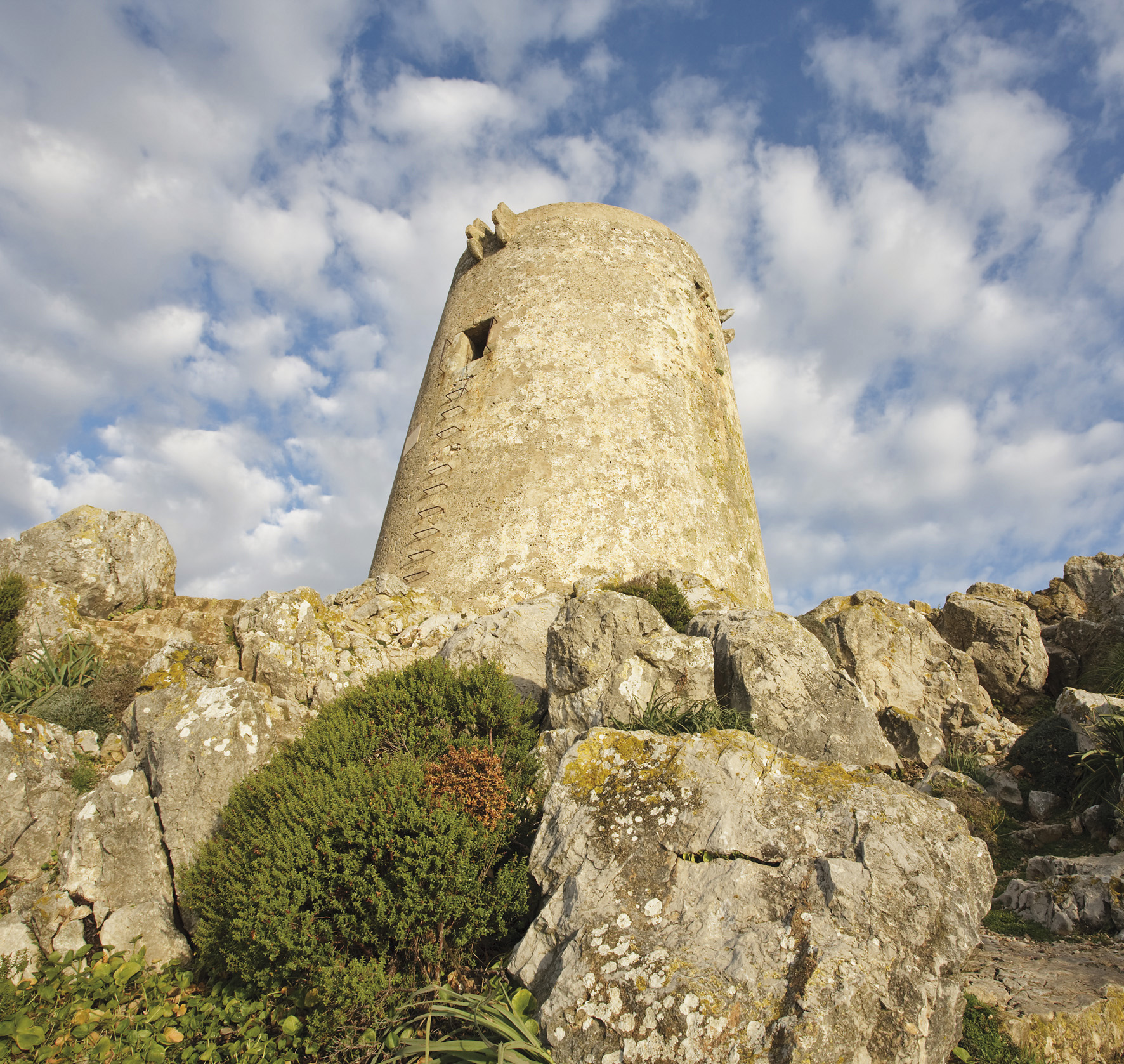 A birding tourist's guide to majorca