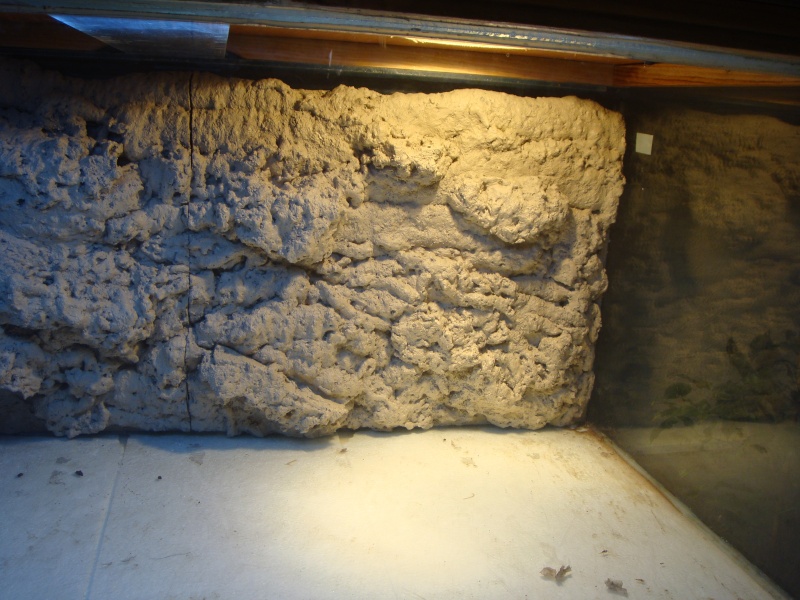 Celestron firstscope 76eq 76mm reflector telescope