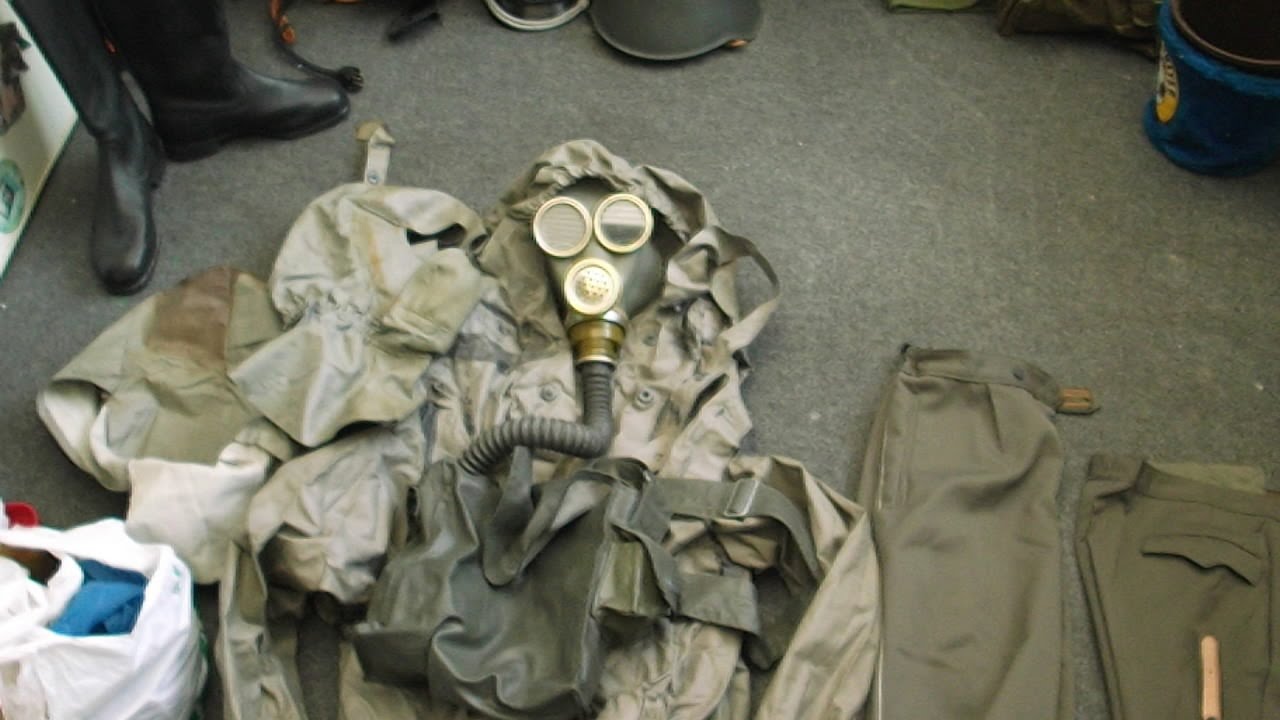 Cheat codes for club penguin herbert's revenge ds