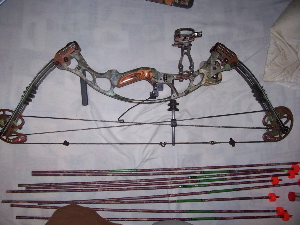 Hoyt vipertec