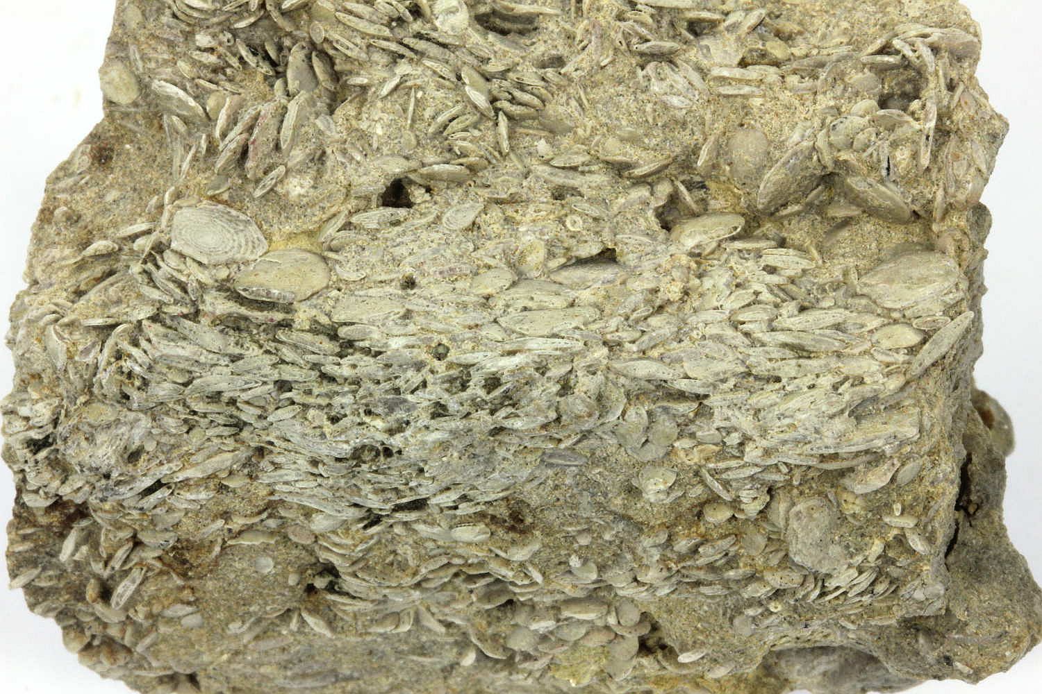 Ee6000 wireless borescope