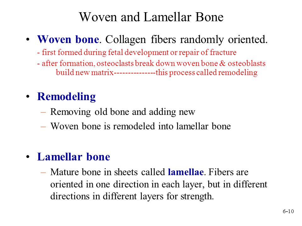 Ssh_exchange_identification read software caused connection abort