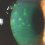 Velai vaippu seithigal in tamil 2016