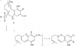 CFR: CAS - SWGDRUG