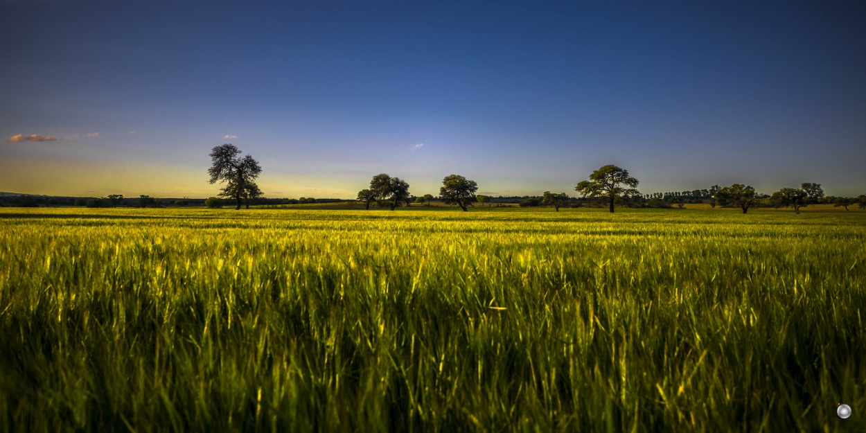 Guate360 galeria categories