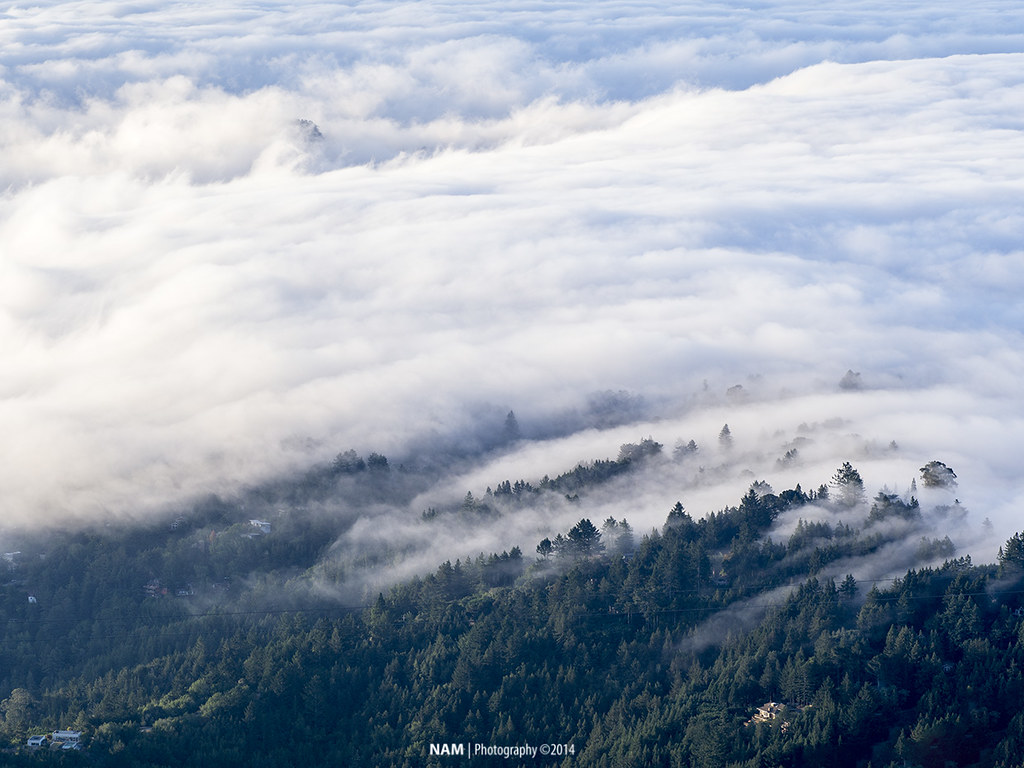 Camping - Friends of Mt Tam