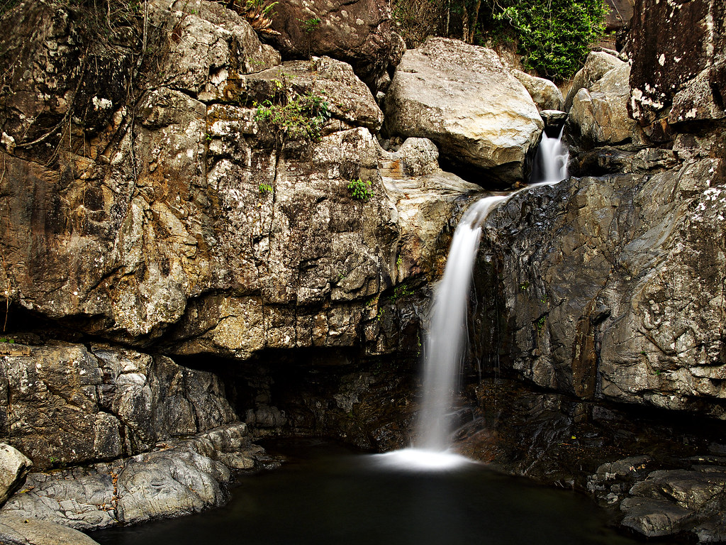 Paluma rainforest cottages