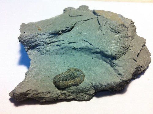 Vitambi springs resort