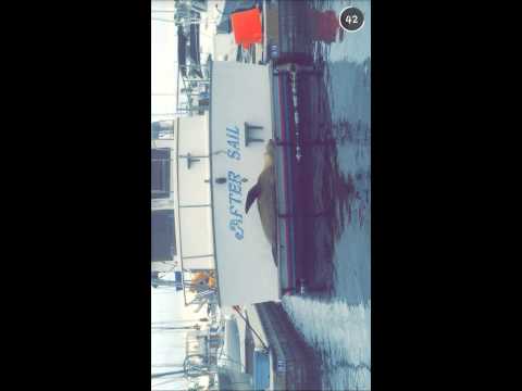 Torey Tomsovic - YouTube