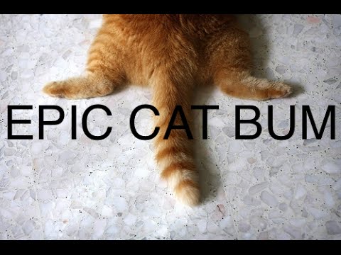 Appleusbethernethost kext