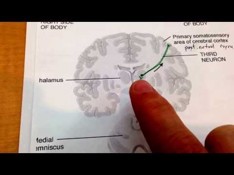 Capitoloneonlinebanking