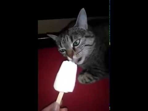 Oikonomia pronunciation