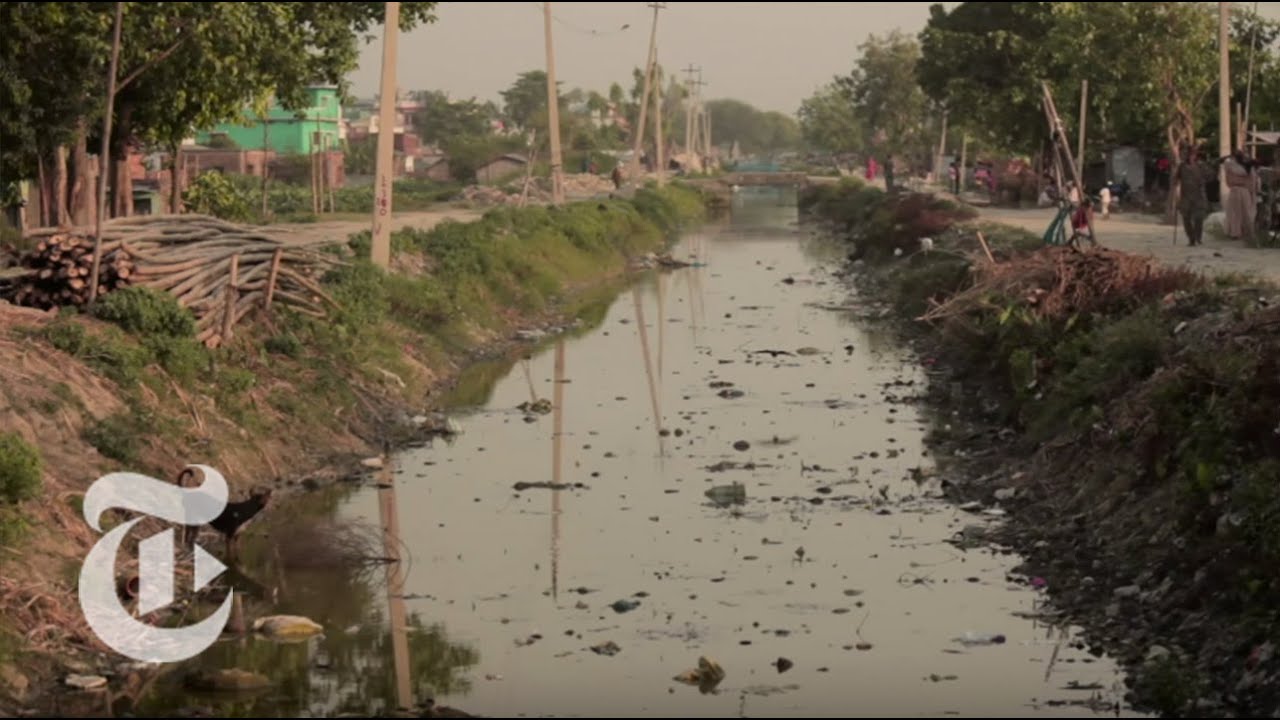 Charcocaps walgreens