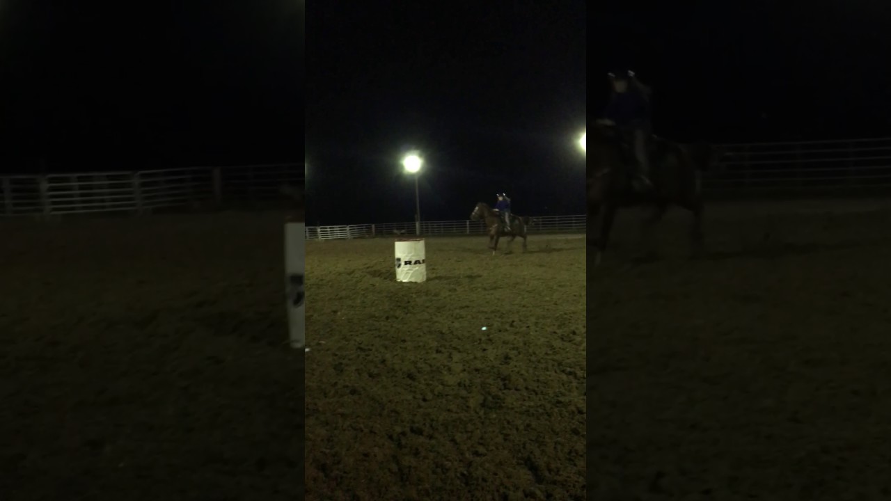 Calendar of Equine Events, Horse Shows - TN, MS, AL, AR, KY