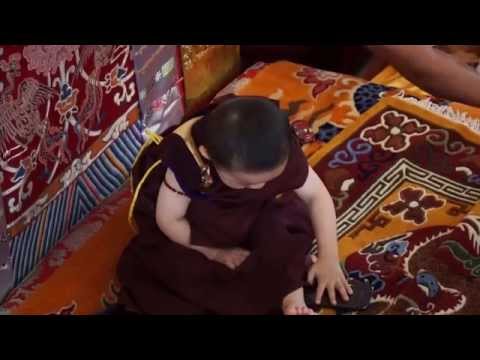 My portillo's page ultipro