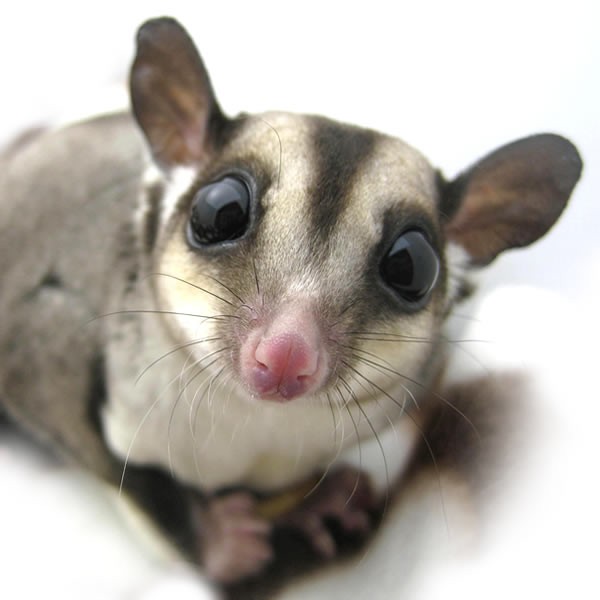 Universidad equipovision com home