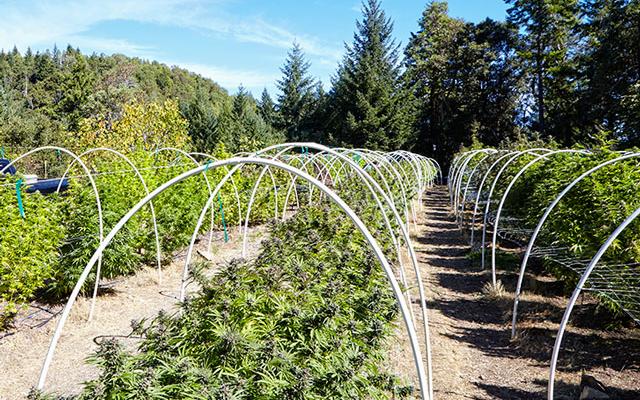 Eztagstore hctra org