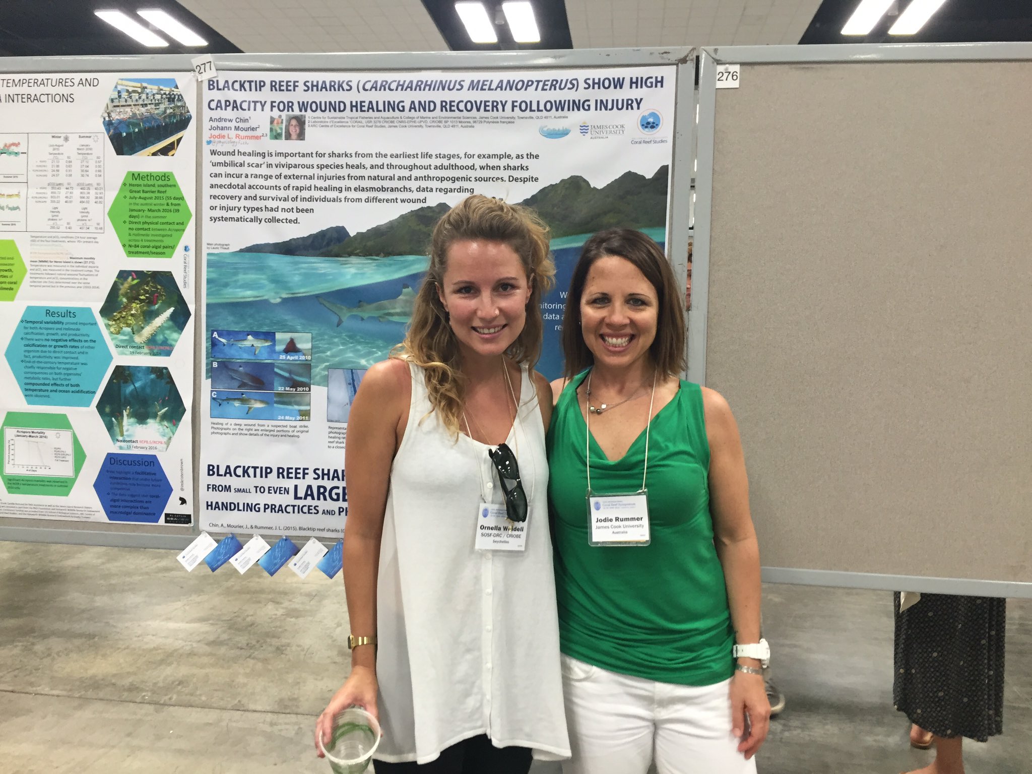 Www pelaut dephub go id cek sertifikat pelaut