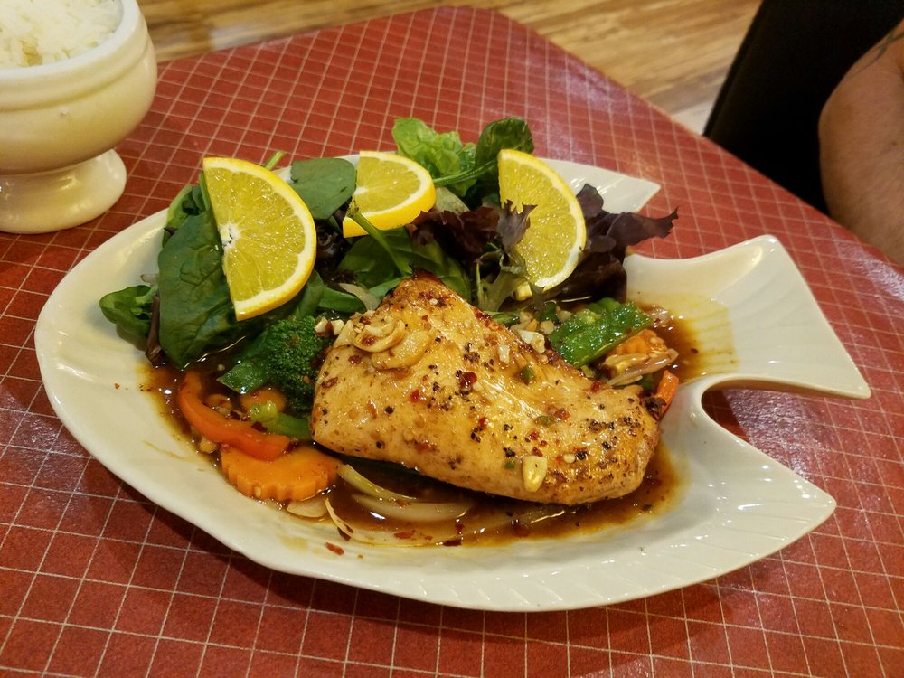 Capital humane society pieloch pet adoption center lincoln ne