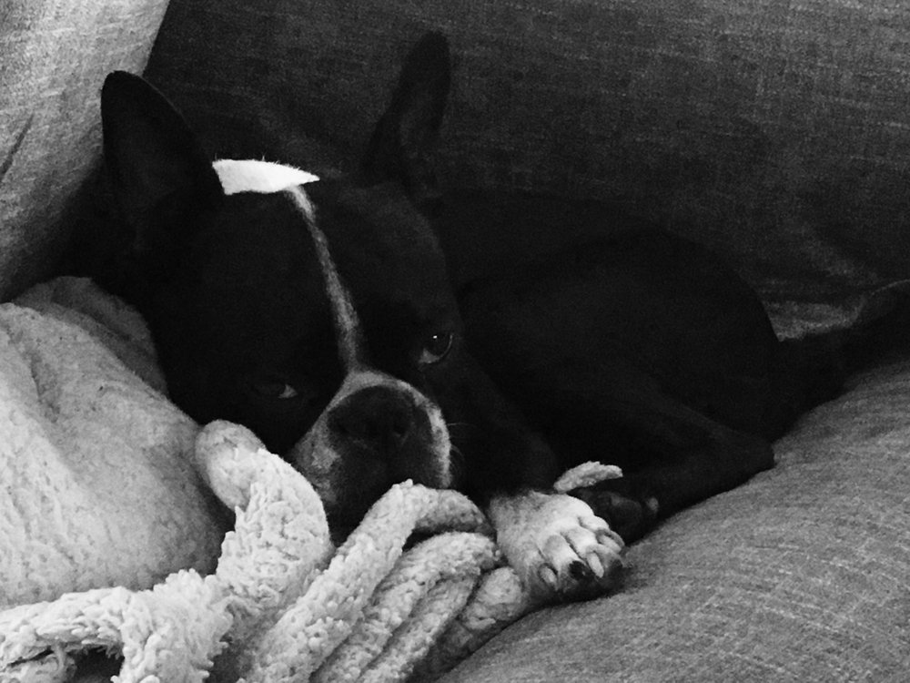 Ufo planet darin crapo