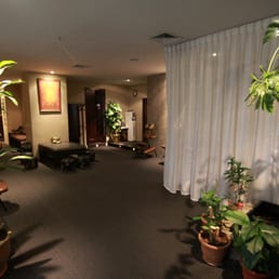 Shanésia davis williams