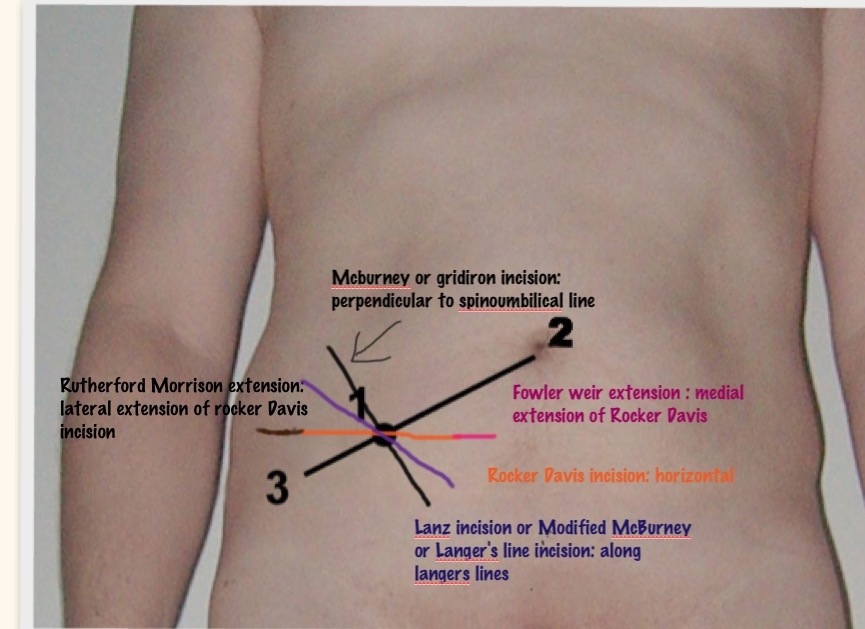 Tacala greenemployee com